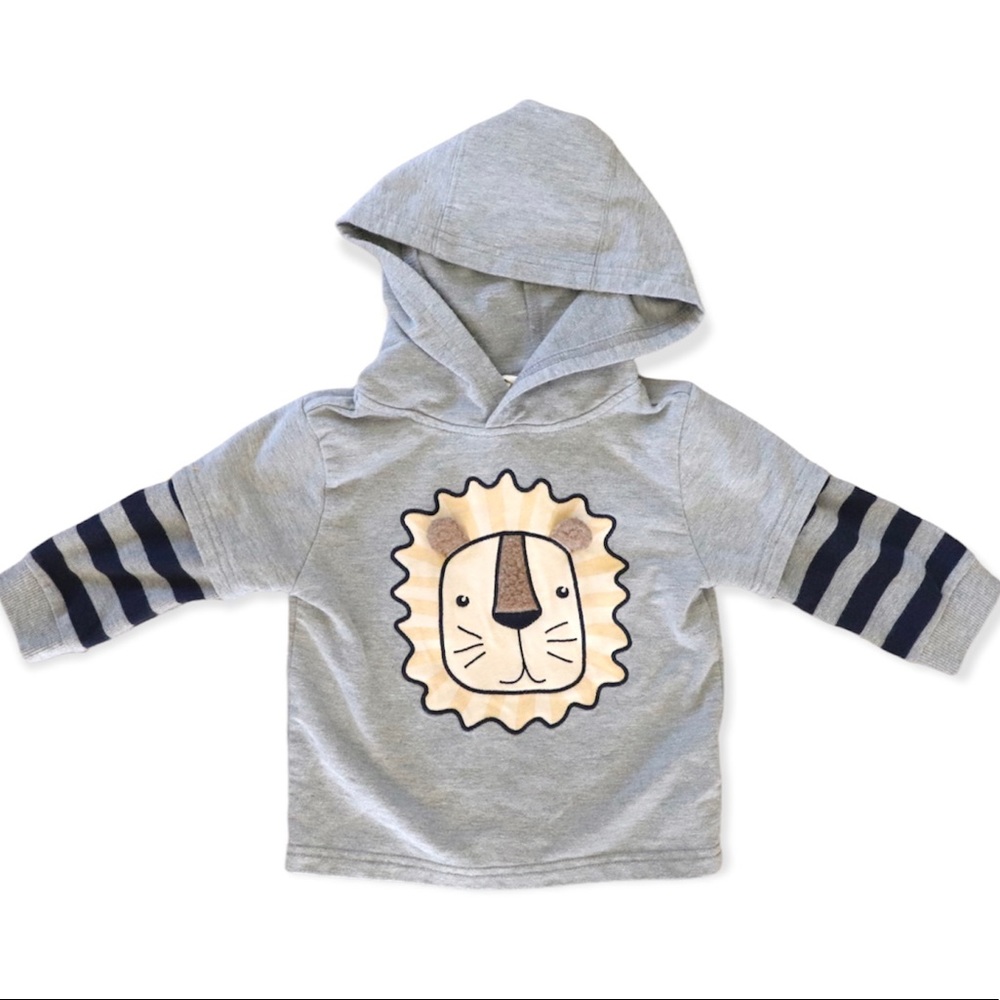 Rorie Whelan - Lion Hoodie (18M)